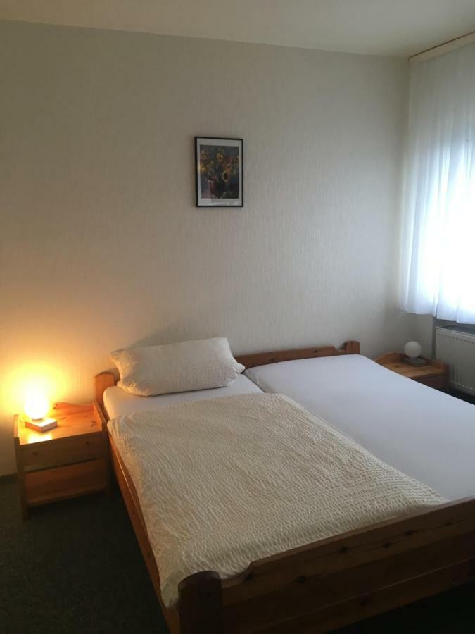 Pension Grune Au Hasselroth 外观 照片
